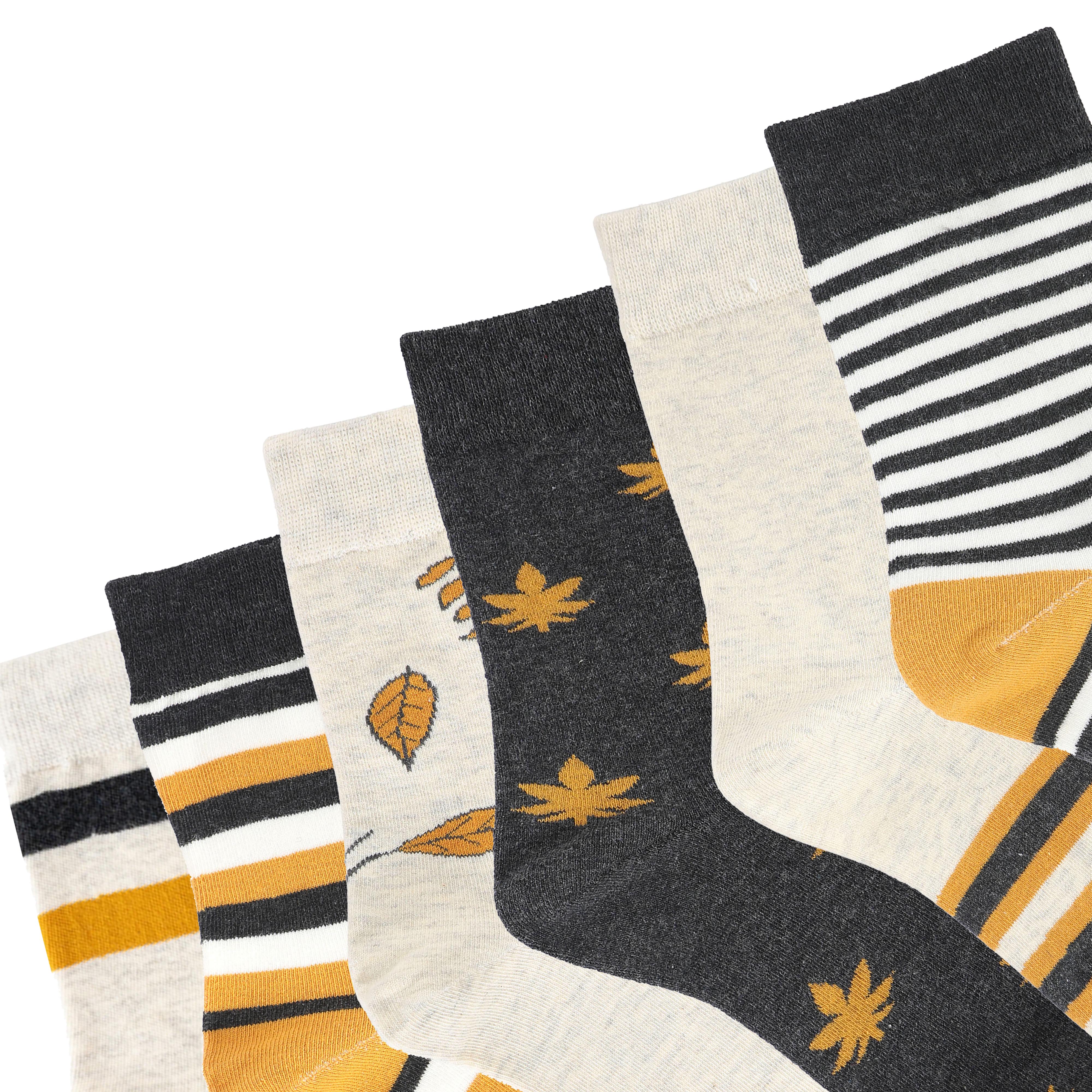Ankle length combo(Pack of 6), combo1027