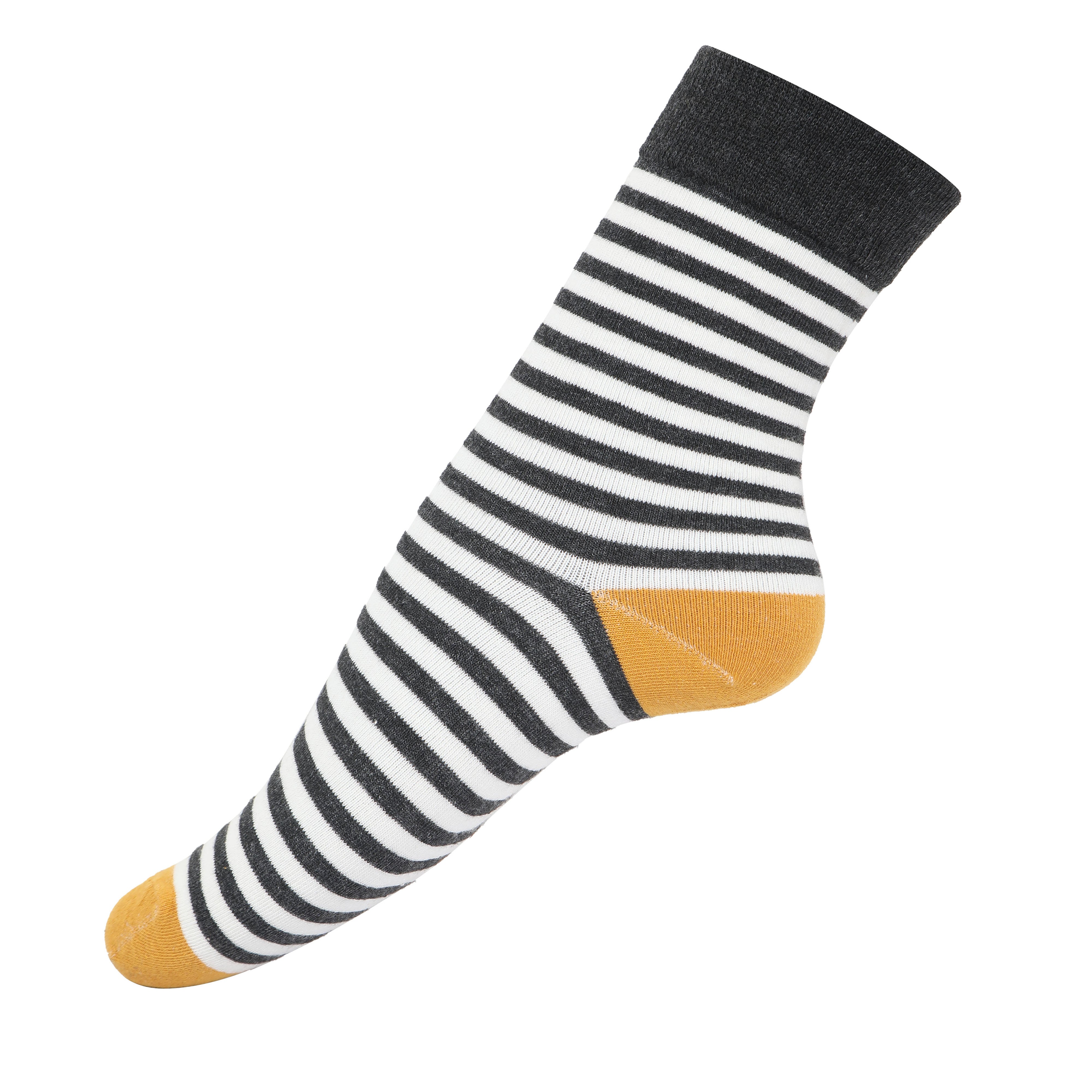 Ankle length combo(Pack of 6), combo1027