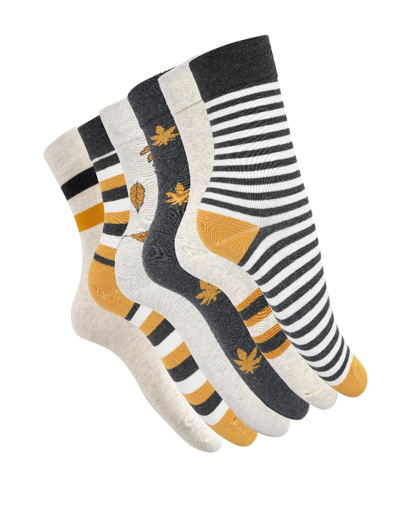 Ankle length Combo(Pack of 6)